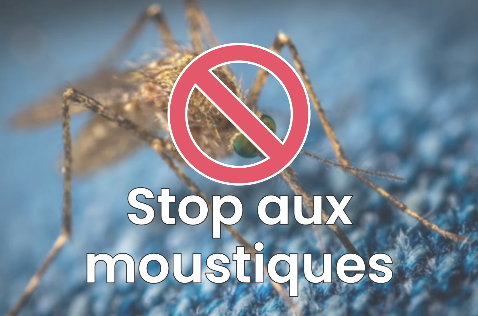 Stop aux moustiques